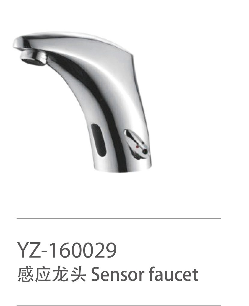 YZ-160029